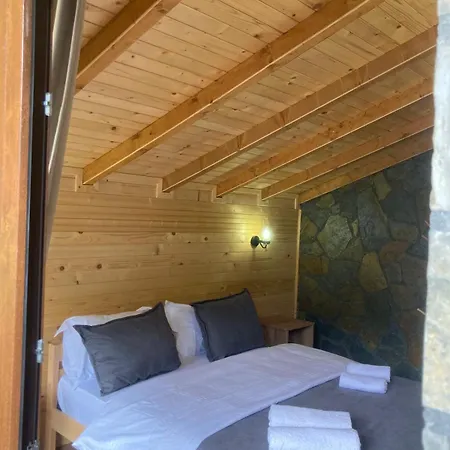 Guest house Bujtina Turi Valbone