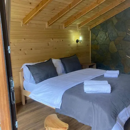 Guest house Bujtina Turi *